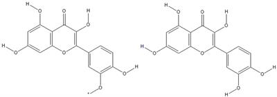 Sea buckthorn, its bioactive constituents, and mechanism of action: potential application in female reproduction